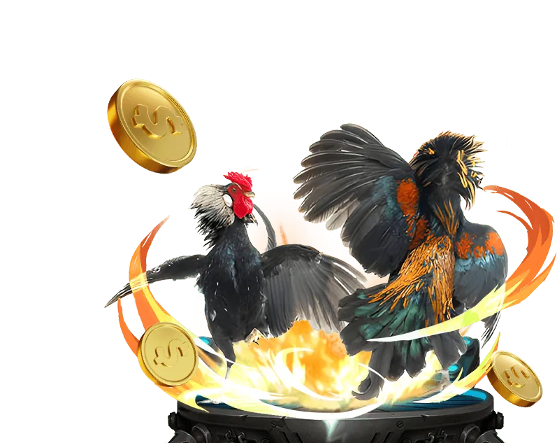 Hướng dẫn đặt cược đá gà tại U888